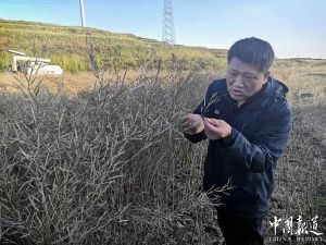 强化责任勇担当 脱贫攻坚践初心