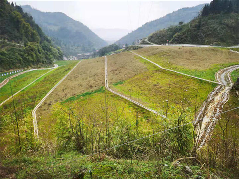 605467256da84.jpg 微信图片_20210319164627.jpg