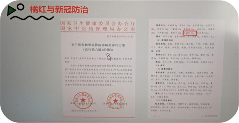 61696af177230.jpg 11.jpg