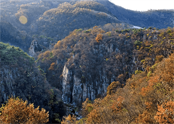 6267f9f9e0ae3.png 1.png