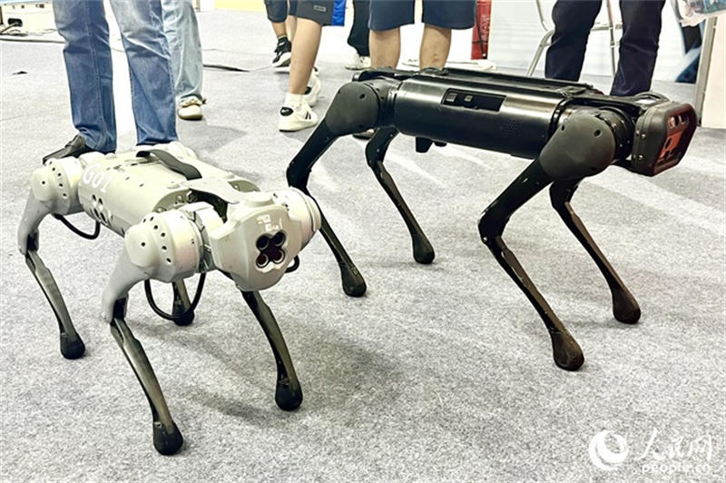 “探”出智慧味、人情味、绿色味！今年这场