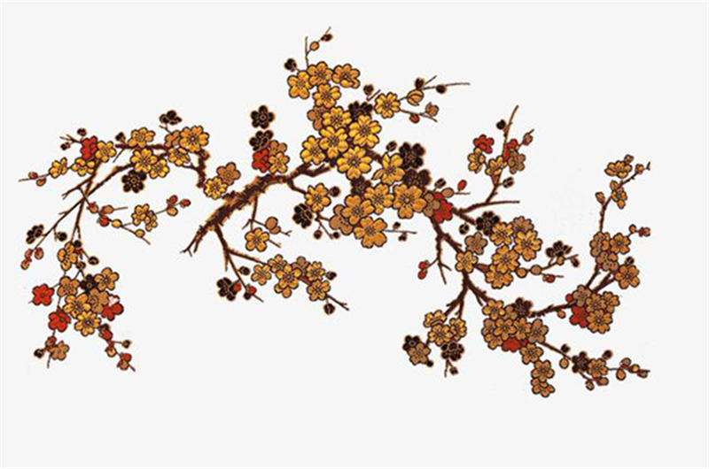 62f44d71d7d8d.jpg 003.jpg