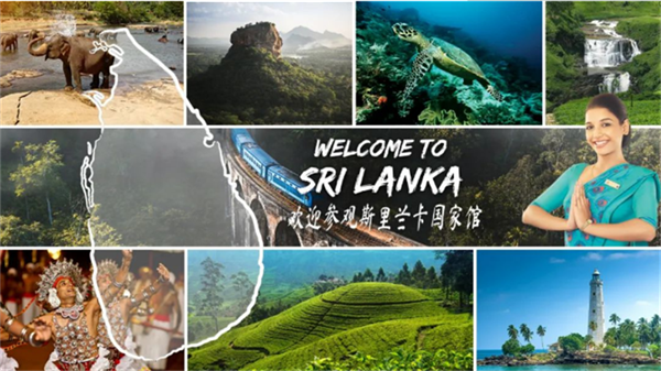 6426f45db5cf6.png 在33333333333333.png