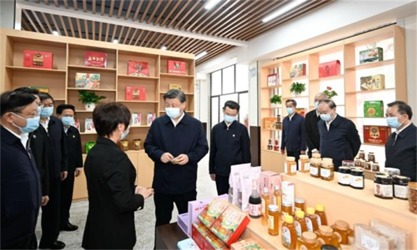 6437f3638074d.png 铭4444444444444444.png