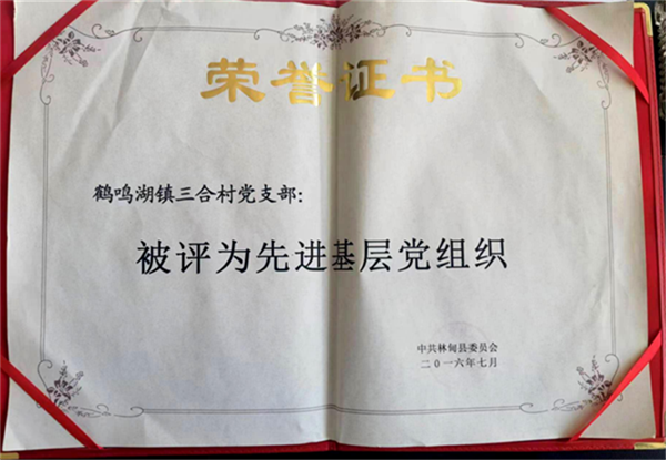 64e99181e4d19.png 是5555555555555555.png