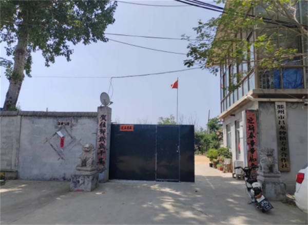 山东省滕州龙阳镇村书记 为何这样作为