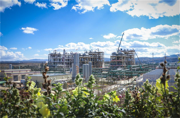 657c095ab5404.png 图22222222222.png