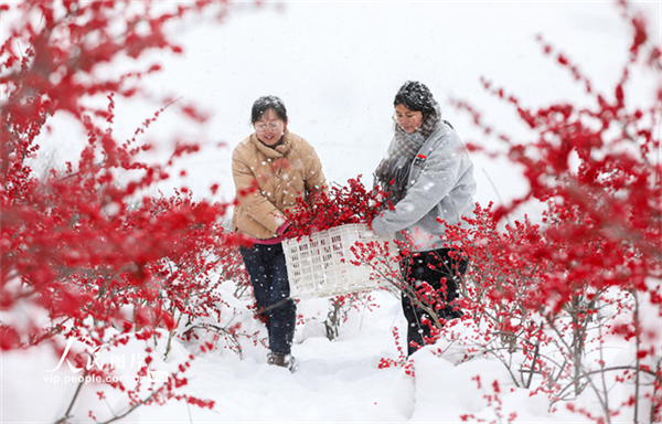 6583b7949ac51.png 滚滚滚11111111111111111.png