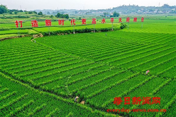 四川海潮镇积极贯彻落实总书记视察重要指示