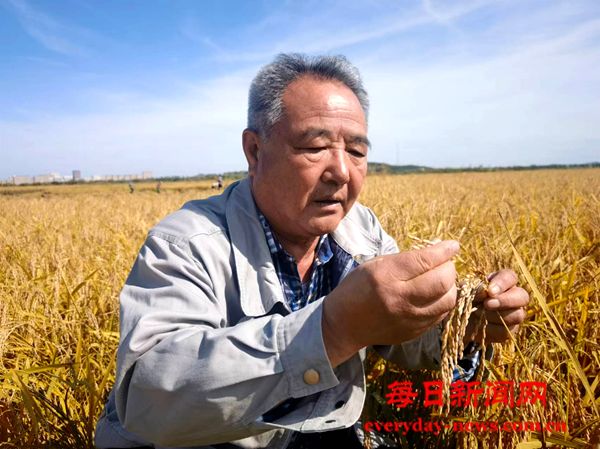 田桢：以匠心和情怀 无悔深耕稻乡沃土