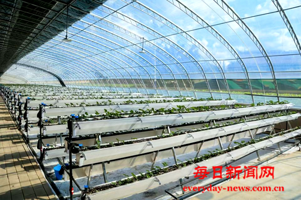 图片4.png 图片4.png