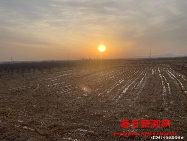 河北张家口毁林几百亩 主管部门却不知情