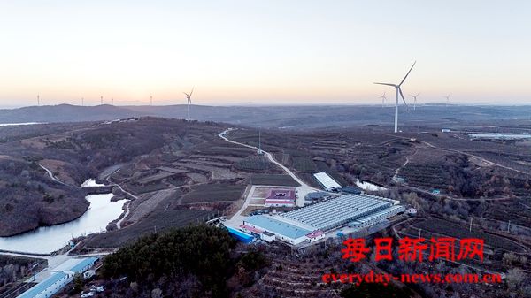 山东栖霞官道镇：助推“小苹果”撑起县域经