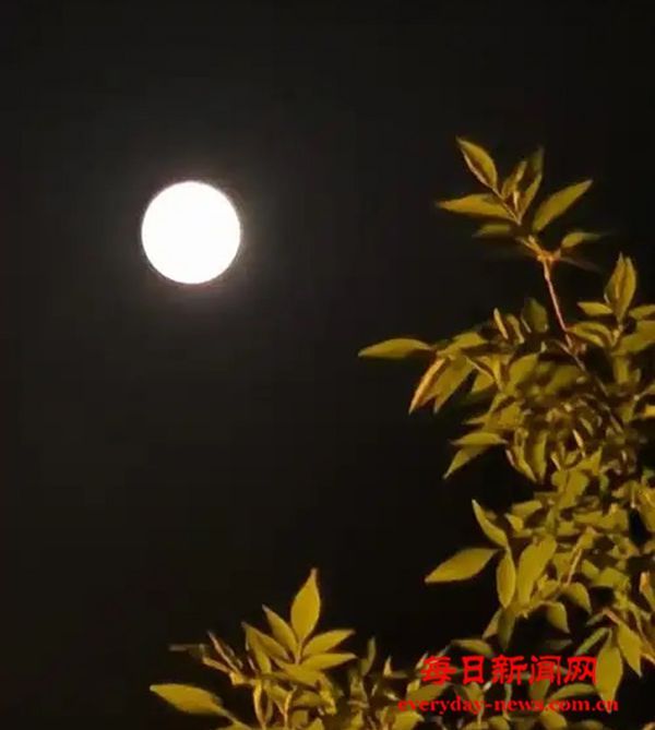  元宵节谈喝酒 ——追忆表兄王圣聚