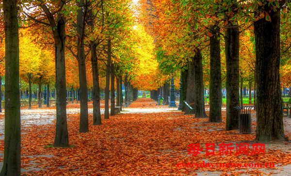 闽台同胞闽江河口参加“爱鸟周”活动