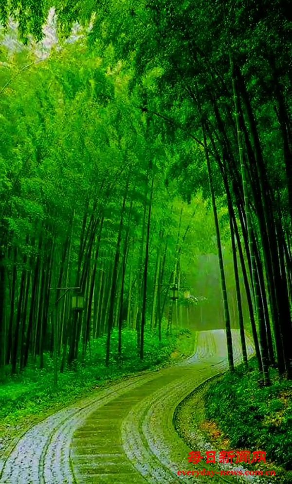 一生厮守精神原乡——台湾作家白先勇谈中华