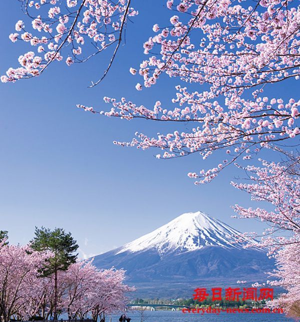 日本多地检出有机氟化物超标 最高值超标5