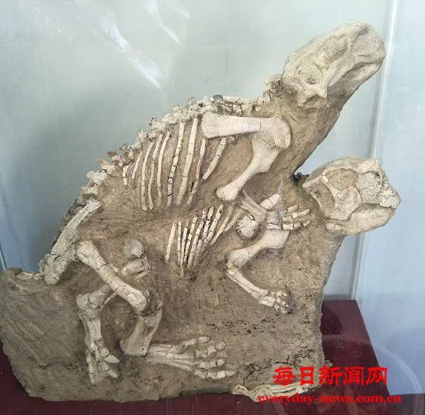 中华民族神圣始祖母一红山女神