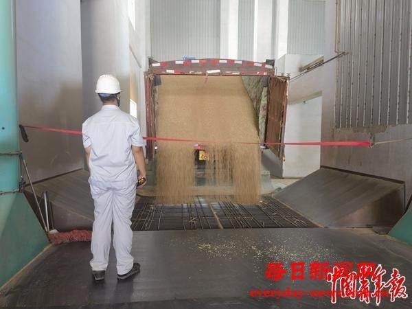 “一站式”服务农民卖粮 高科技保障颗粒归