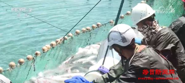 智慧赋能“中国新特产” 高原“冷水鱼”征