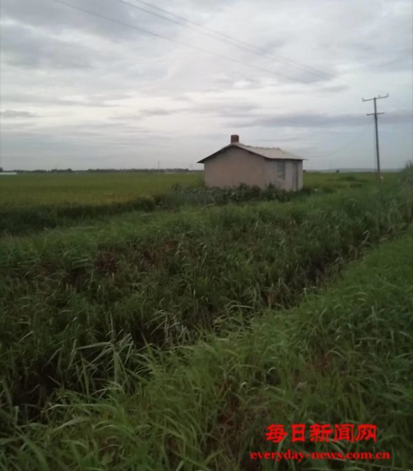 谁沧桑了我们的守望