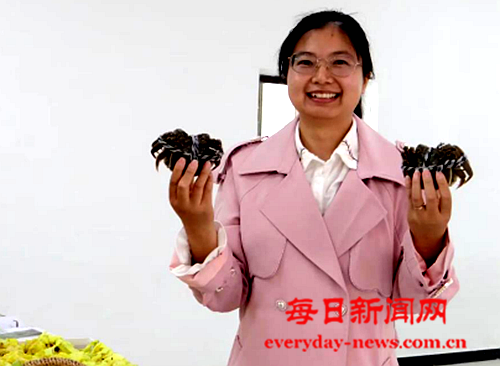 案4444444444444.png 案4444444444444.png