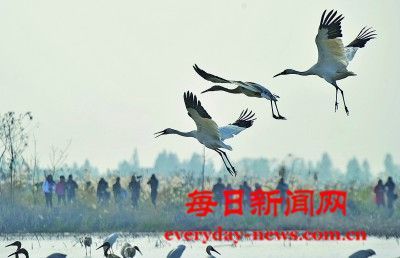 遏制“打野”乱象 筑牢生态防线