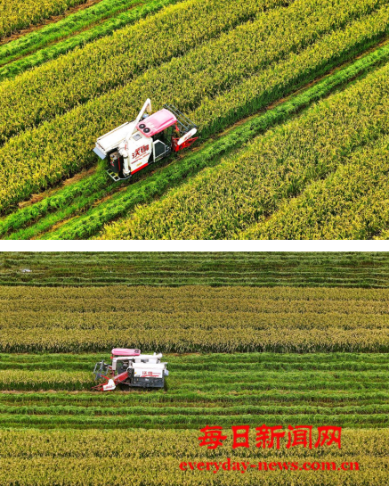 二111111111111111111.png 二111111111111111111.png