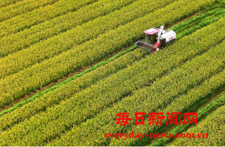 二2222222222222.png 二2222222222222.png