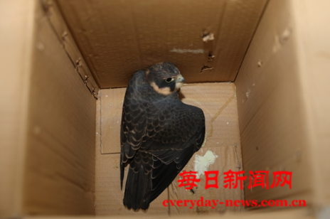 头条1111111111111111.png 头条1111111111111111.png