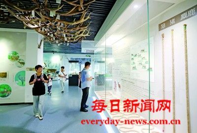 从“数量领跑”到“品质出圈”——北京高质