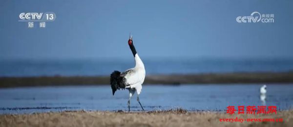 国家公园法颁布实施有何重要意义？来看专家