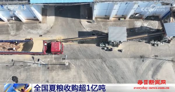 小麦收购市场“新”气象让群众卖“明白粮、