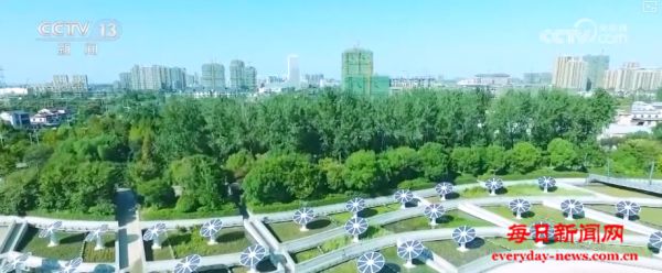 参与者→引领者！中国严格履行国际环境公约