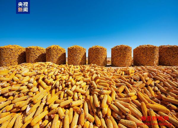 “数”说丰收！这份“三农”成绩单请查收