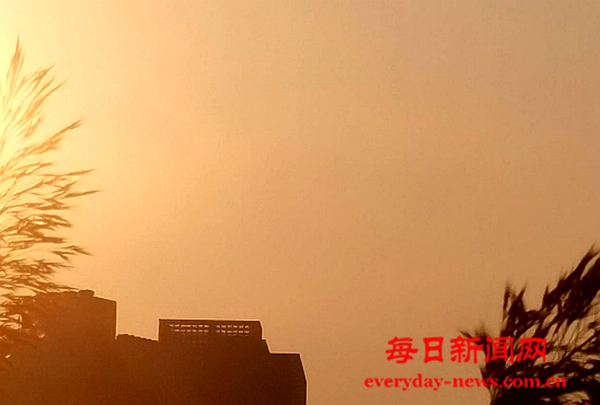 去44444444444.png 去44444444444.png