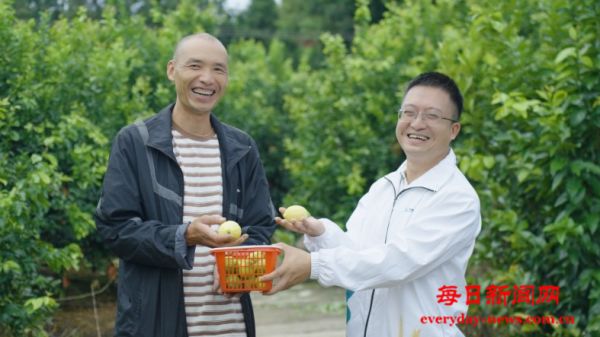 柠檬袋上的名字：一份写在丰收里的保单  