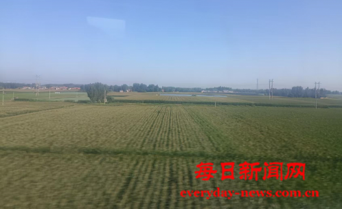 案111111111111.png 案111111111111.png