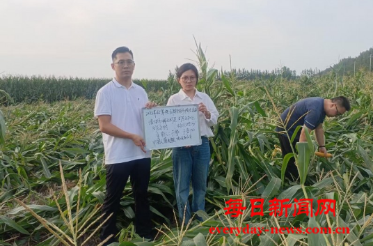 案33333333333.png 案33333333333.png