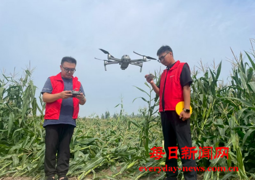 案44444444444.png 案44444444444.png