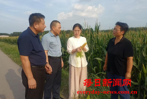 案66666666666.png 案66666666666.png