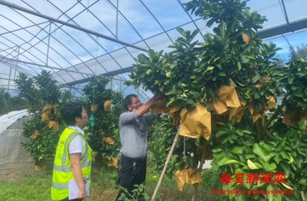 多方协同共建普惠新模式 中国人寿财险筑牢