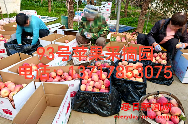 问问33333333333333.png 问问33333333333333.png