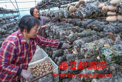 案222222222222.png 案222222222222.png