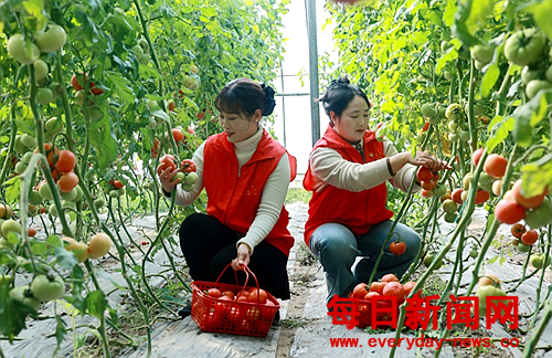 去22222222222.png 去22222222222.png