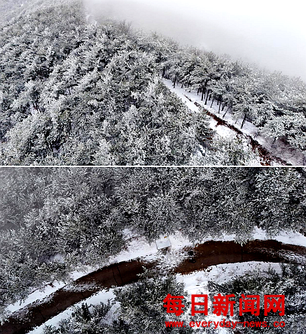 去1111111111.png 去1111111111.png