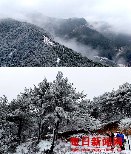 去2222222222.png 去2222222222.png