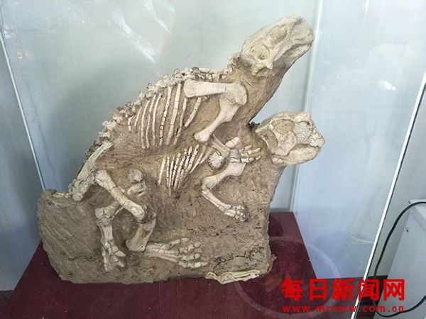 4.jpg 4.jpg